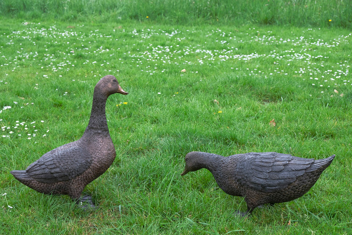 Large bronze pair of duck sculpture