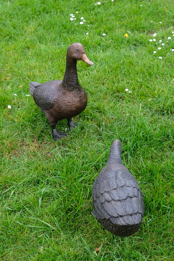 Large bronze pair of duck sculpture