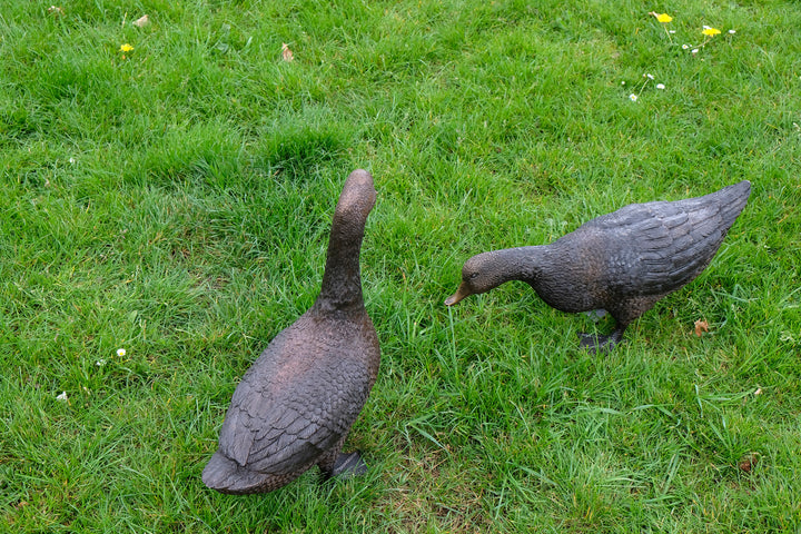 Large bronze pair of duck sculpture