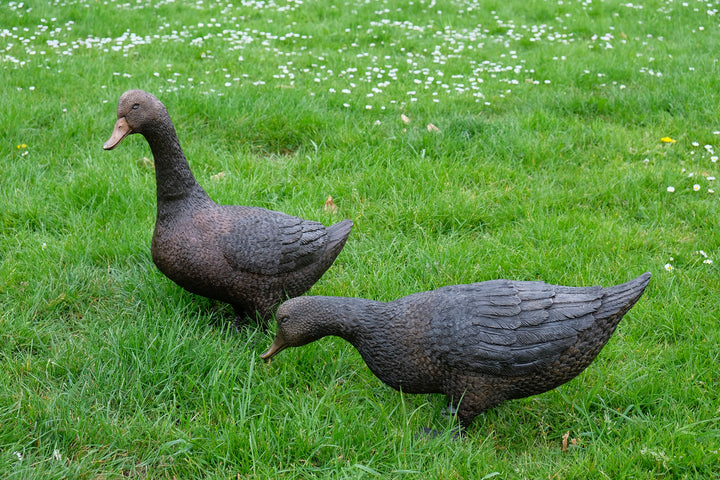 Large bronze pair of duck sculpture