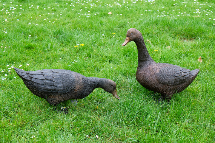 Large bronze pair of duck sculpture