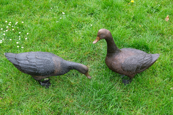 Large bronze pair of duck sculpture