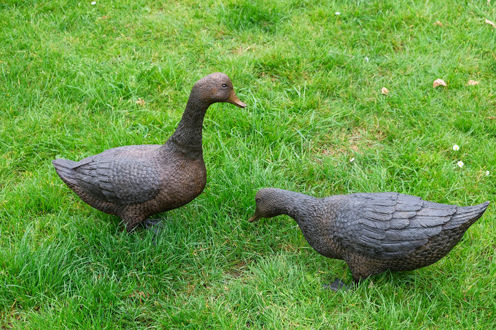 Large bronze pair of duck sculpture