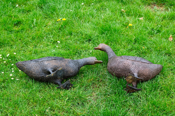 Large bronze pair of duck sculpture