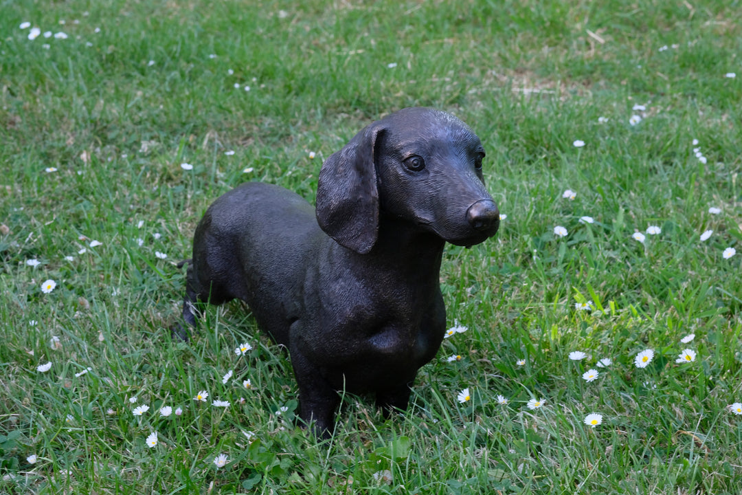 Lebensgröße Bronze Dackel Skulptur