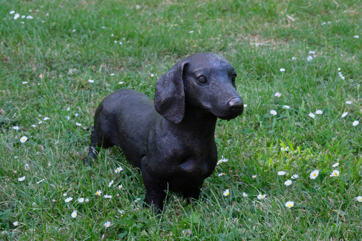 Lebensgröße Bronze Dackel Skulptur