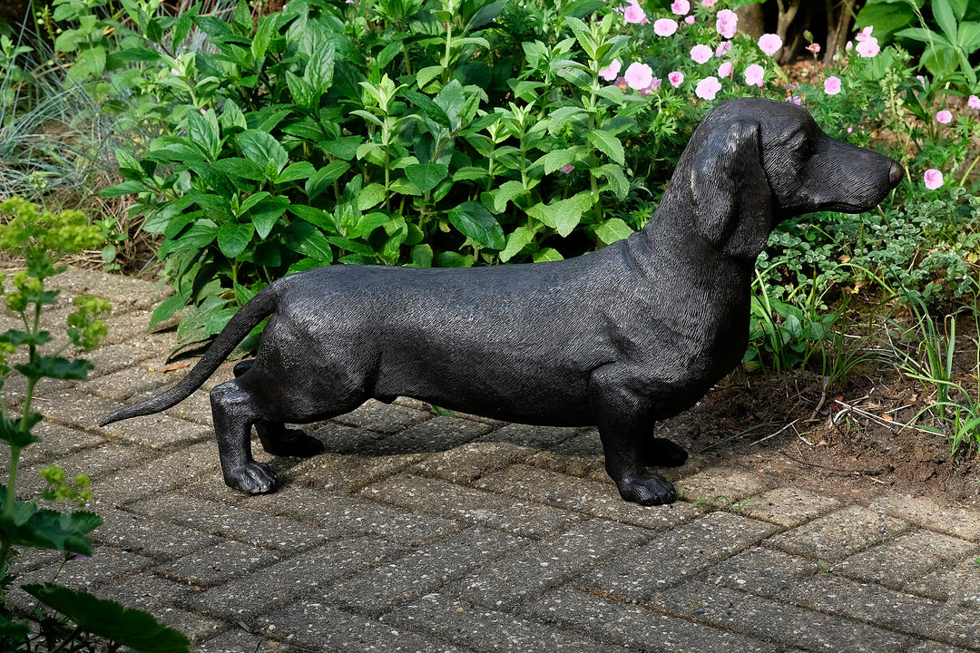 Lebensgröße Bronze Dackel Skulptur