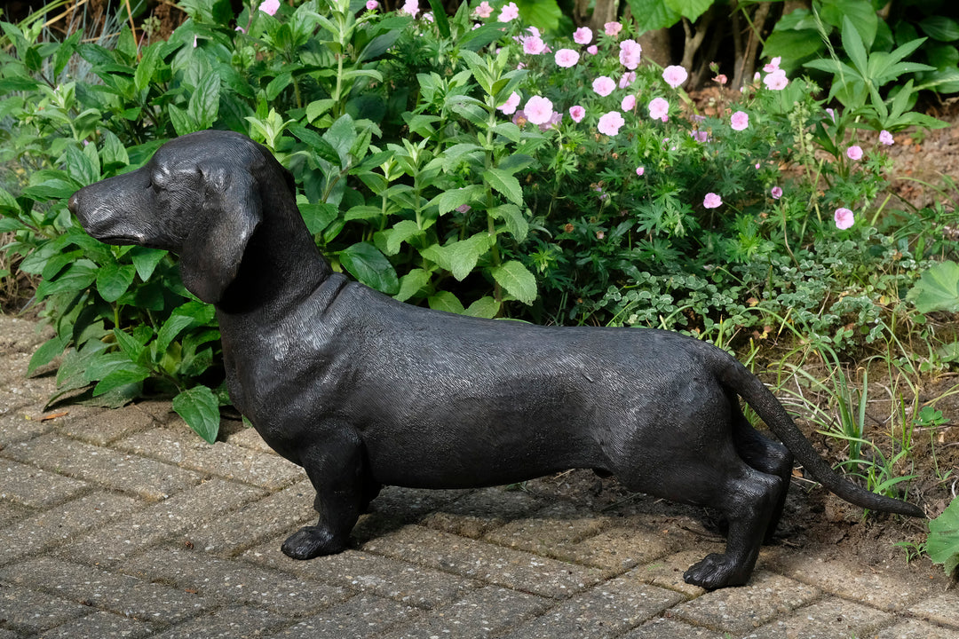 Lebensgröße Bronze Dackel Skulptur