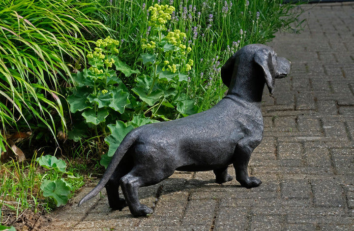 Lebensgröße Bronze Dackel Skulptur