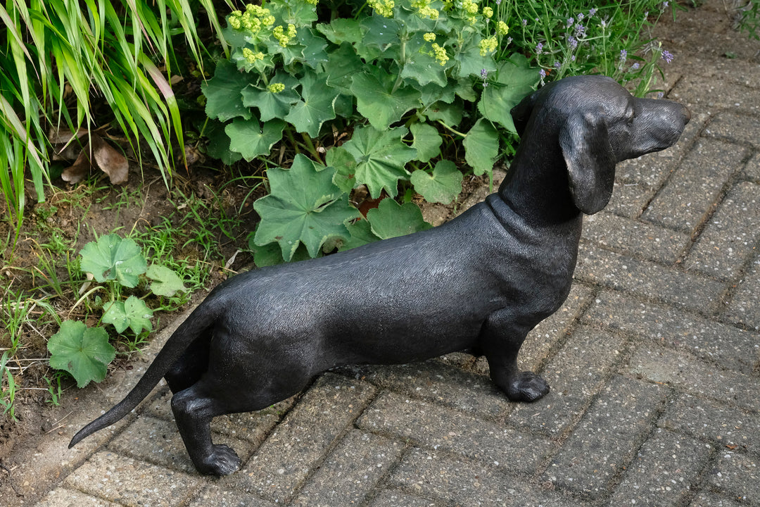 Lebensgröße Bronze Dackel Skulptur