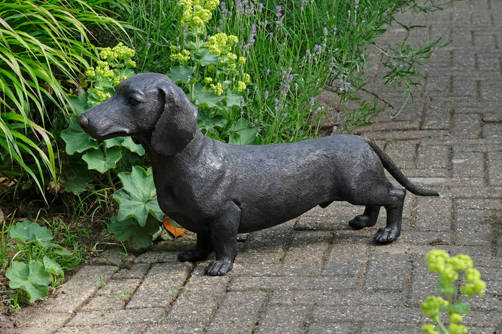 Lebensgröße Bronze Dackel Skulptur