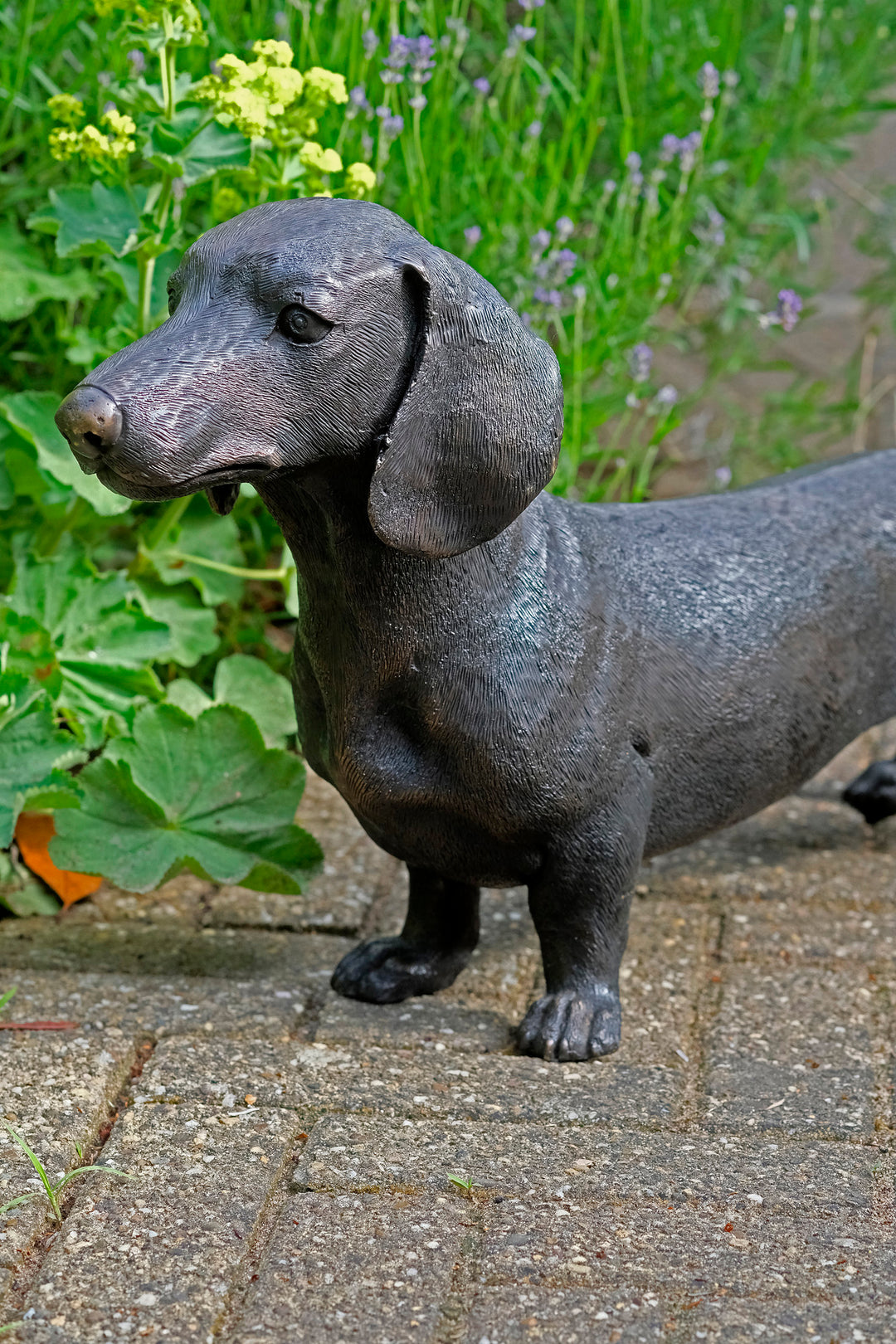 Lebensgröße Bronze Dackel Skulptur