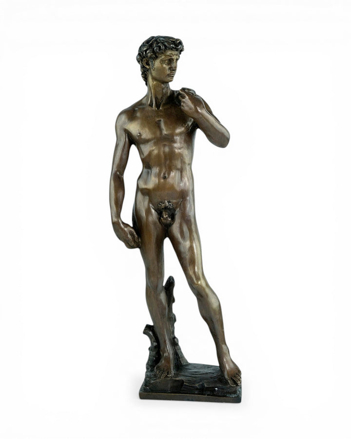 Bronzen beeld van David – naar Michelangelo