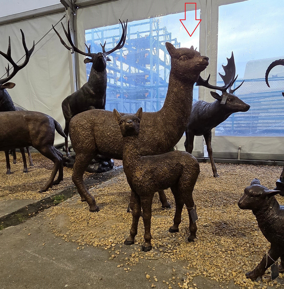 Lifesize bronze alpaca sculpture