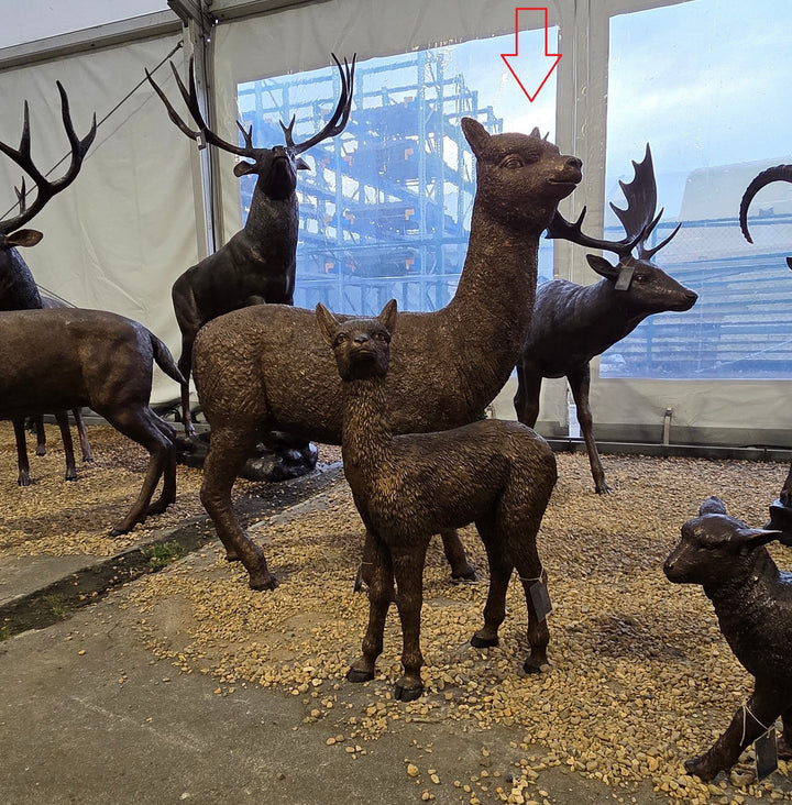 Lifesize bronze alpaca sculpture