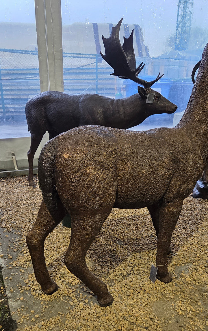Lifesize bronze alpaca sculpture