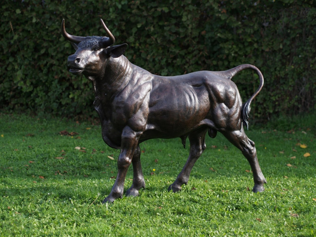 Lifesize bronze sculpture of a standing bull