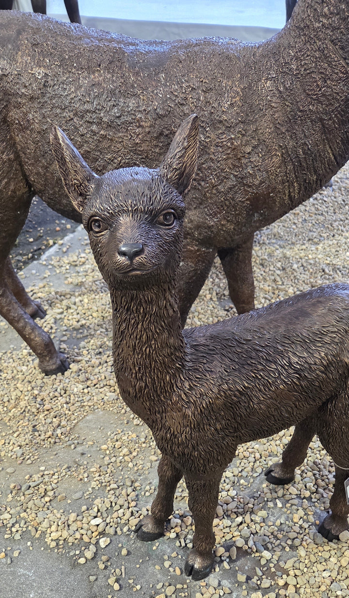 Lifesize bronze sculpture of a baby alpaca (cria)