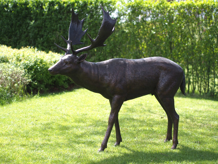 Lifesize bronze sculpture of a fallow deer