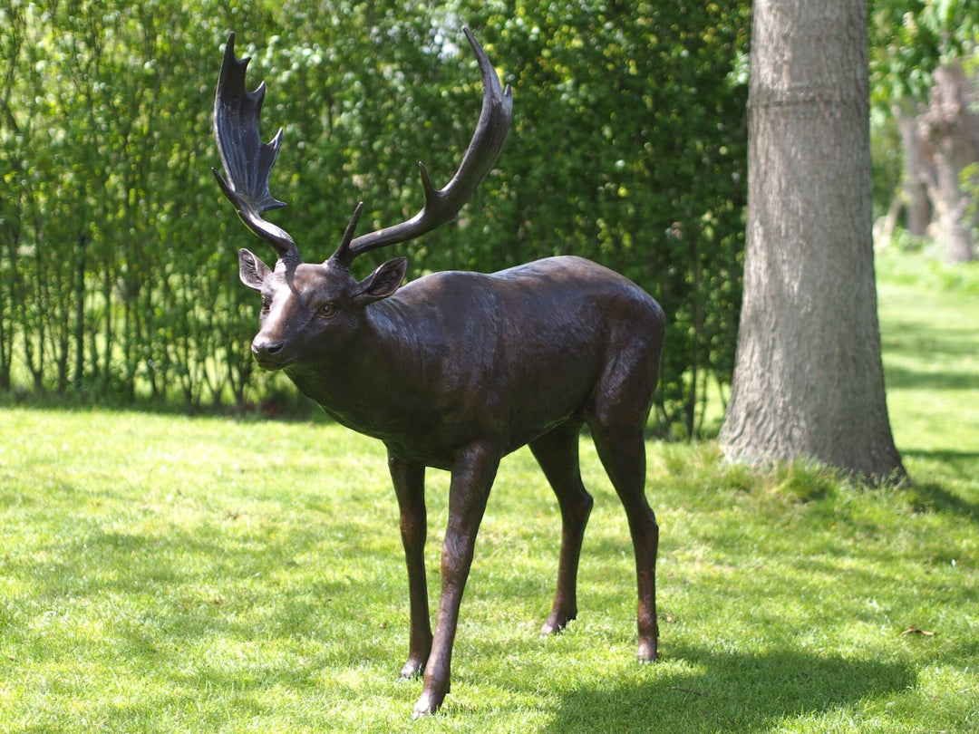Lifesize bronze sculpture of a fallow deer