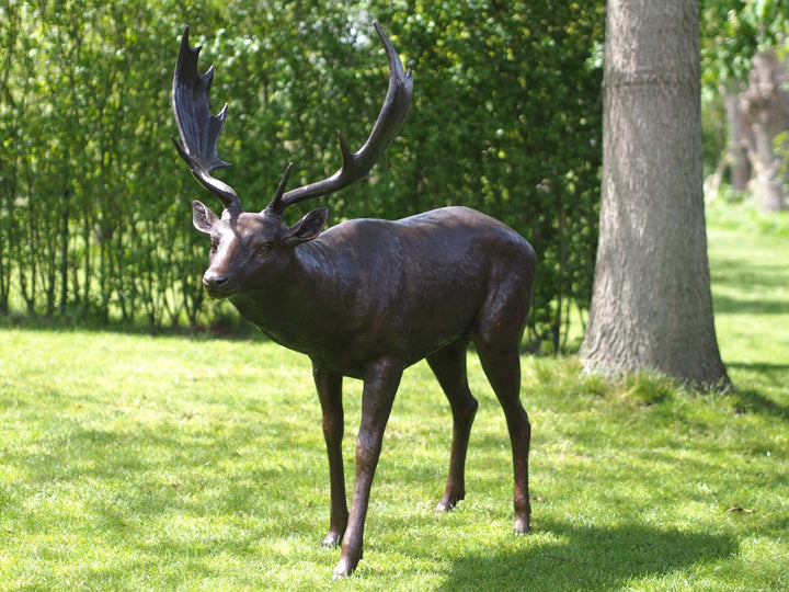 Lifesize bronze sculpture of a fallow deer