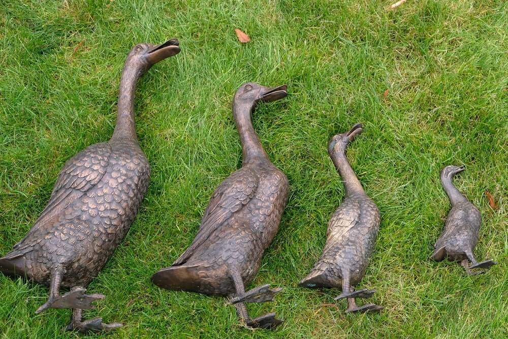 Set of 4 bronze duck family sculptures on grass, featuring mother, father, and two ducklings for outdoor decoration.