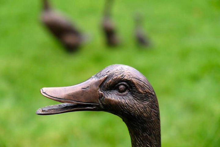 Close-up of bronze duck sculpture with green grass background, part of a decorative duck family figurine set.
