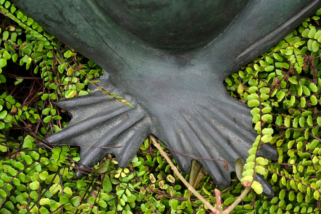 Close-up of a bronze frog sculpture's foot surrounded by green foliage, showcasing its unique texture and patina.