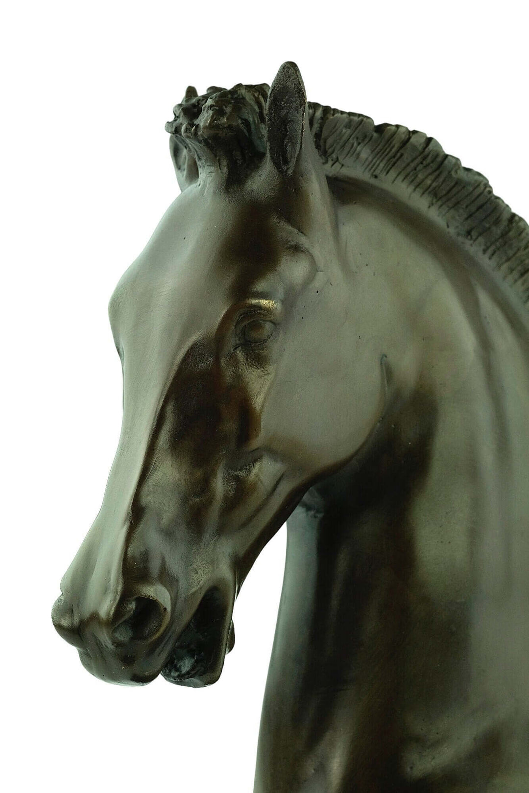 Bronze horse head sculpture with fine detailing and warm patina, signed by Turner. Dimensions: 33 x 18 cm.