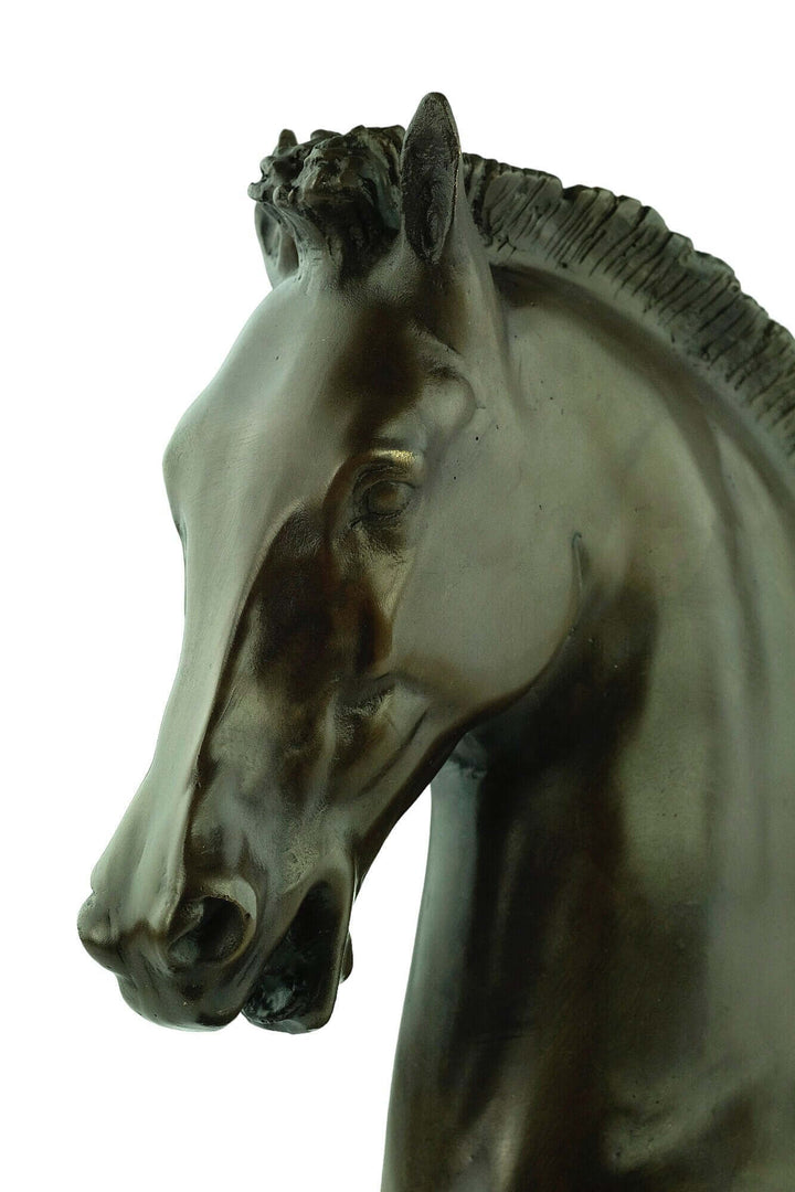 Bronze horse head sculpture with fine detailing and warm patina, signed by Turner. Dimensions: 33 x 18 cm.