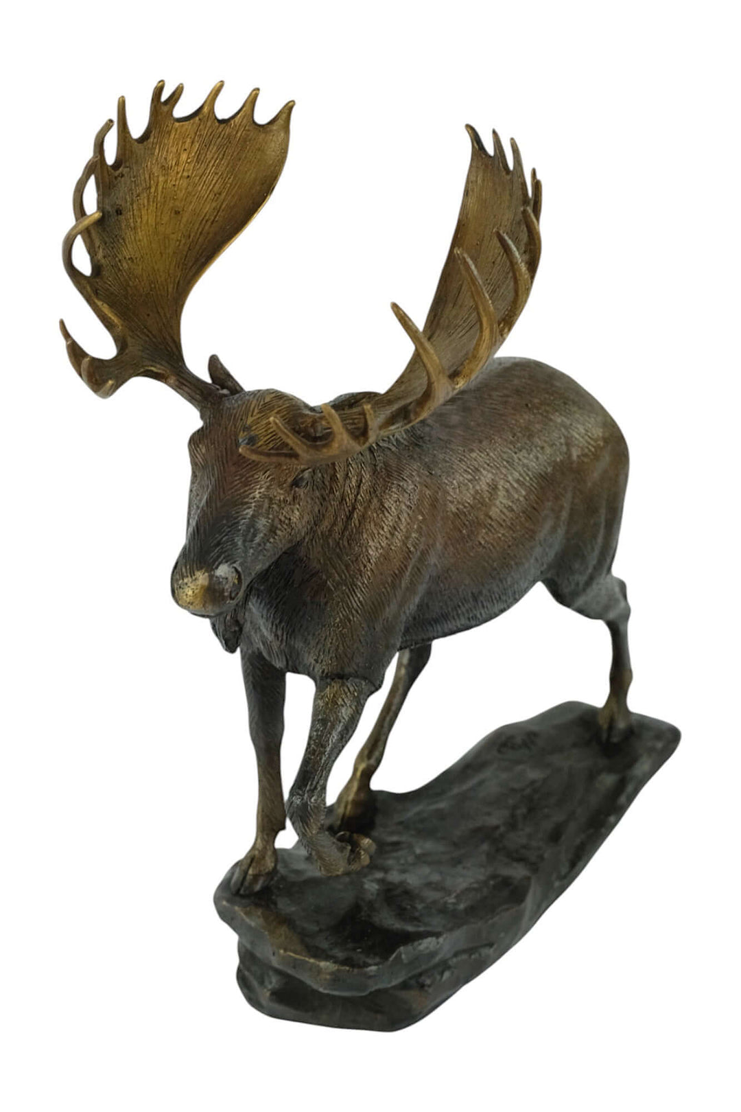 Detailed bronze moose sculpture on a rock, perfect for indoor or outdoor display, 26 x 15 x 30 cm.