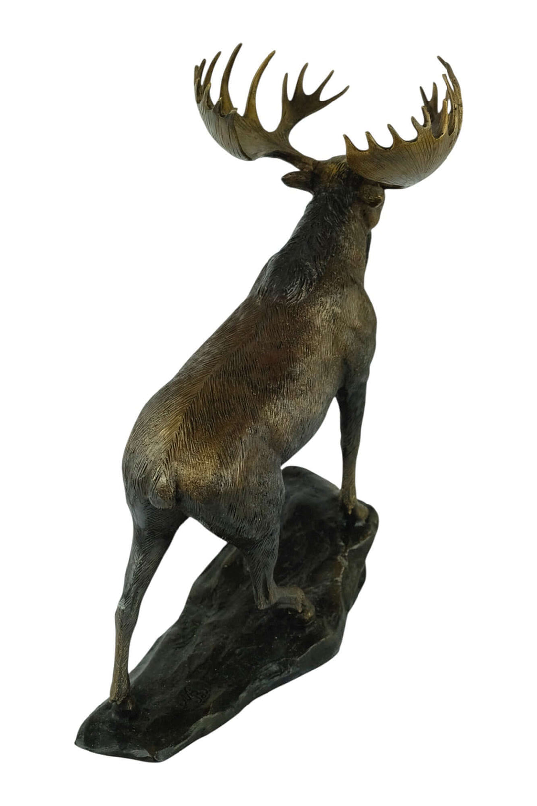 Bronze moose sculpture on rock, showcasing intricate details and lifelike features, ideal for indoor or outdoor display.