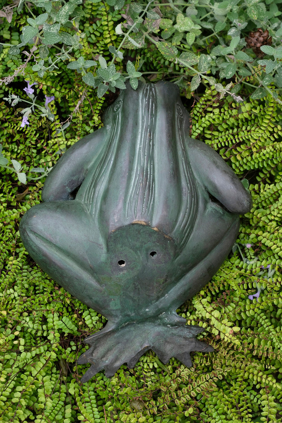 Bronze sculpture of a frog resting surrounded by green plants, showcasing a joyful, relaxed design.