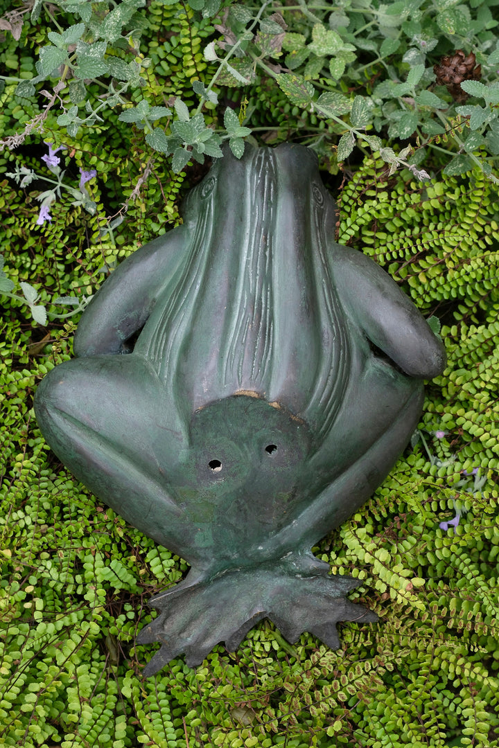 Bronze sculpture of a frog resting surrounded by green plants, showcasing a joyful, relaxed design.