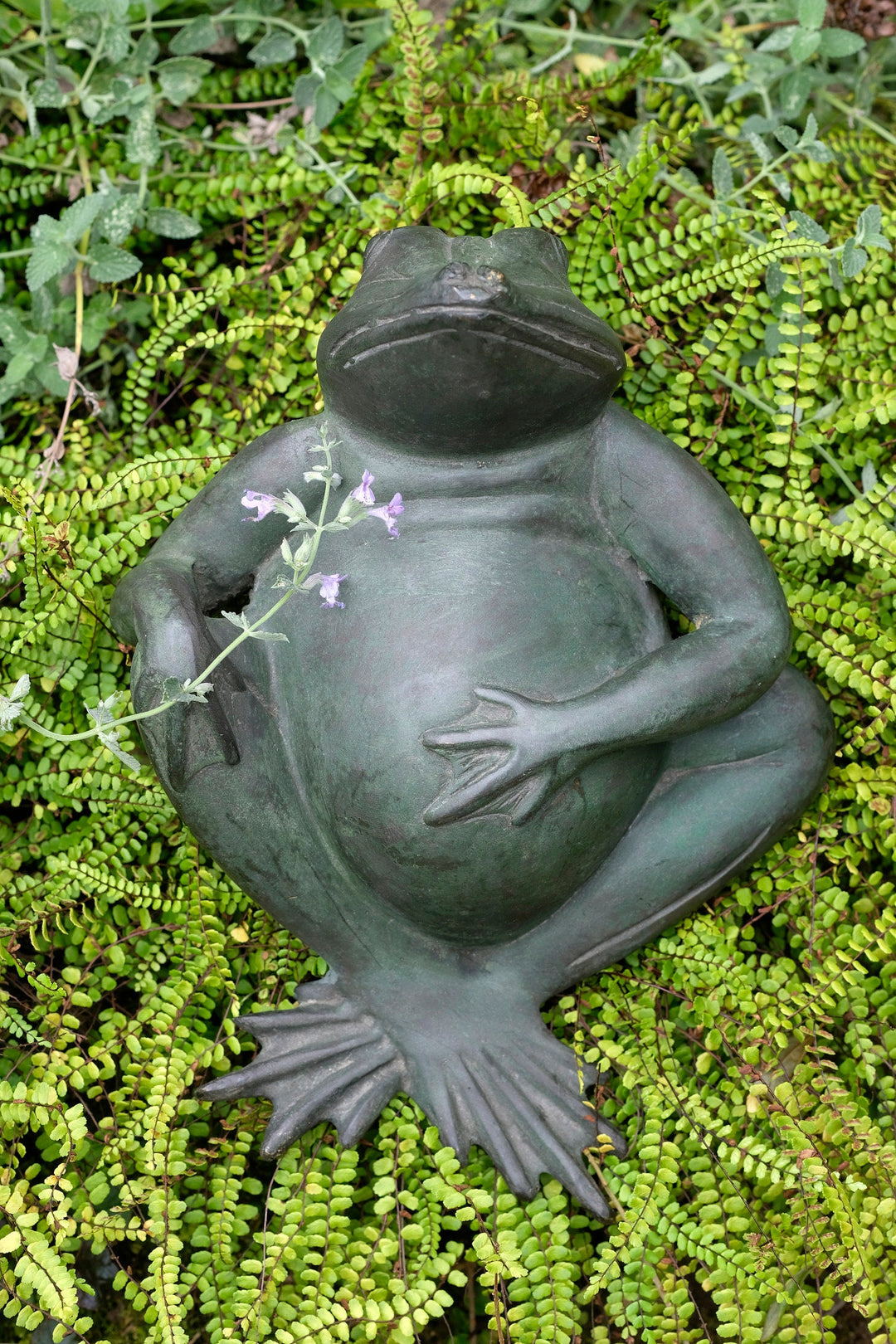 Bronze sculpture of a relaxing frog in green patina, surrounded by lush ferns. Perfect for indoor or outdoor decor.