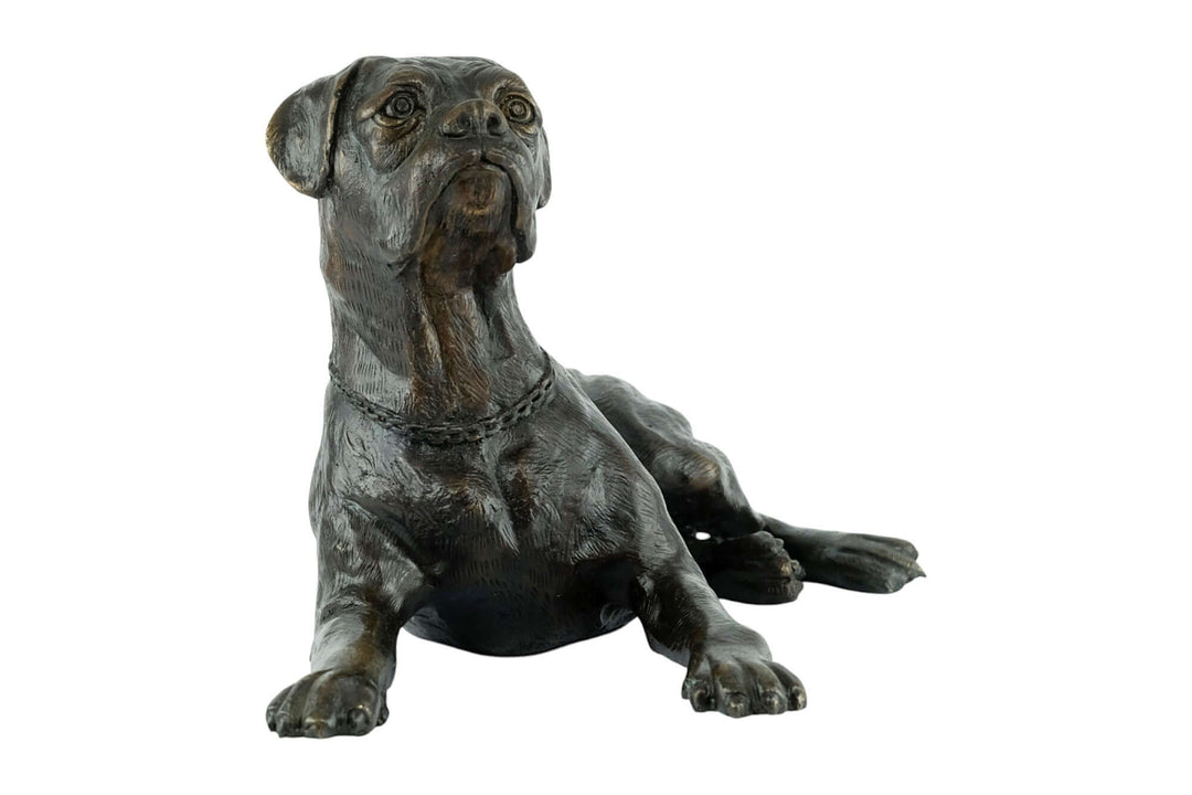 Bronze sculpture of a reclining boxer dog, finely detailed for indoor and outdoor display, 46 x 27 x 24 cm.