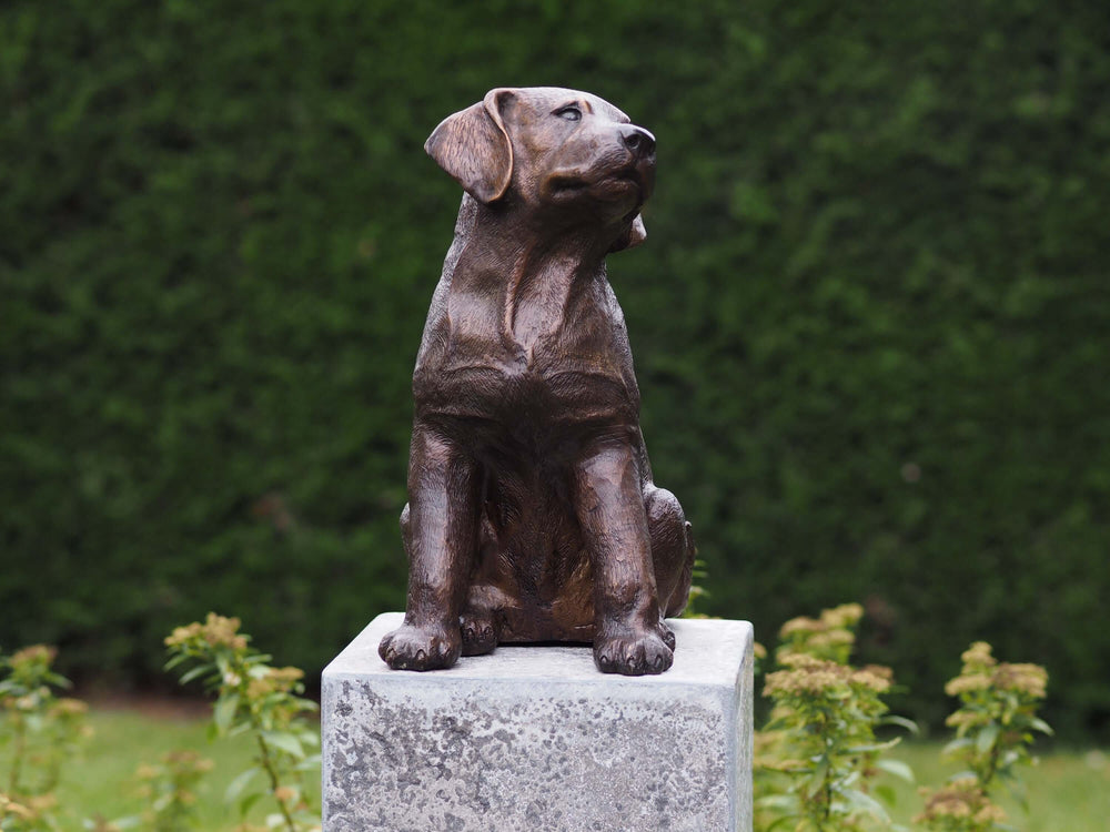 Bronze sculpture of a sitting labrador retriever puppy for indoor or outdoor display, 25 x 19 x 35 cm.