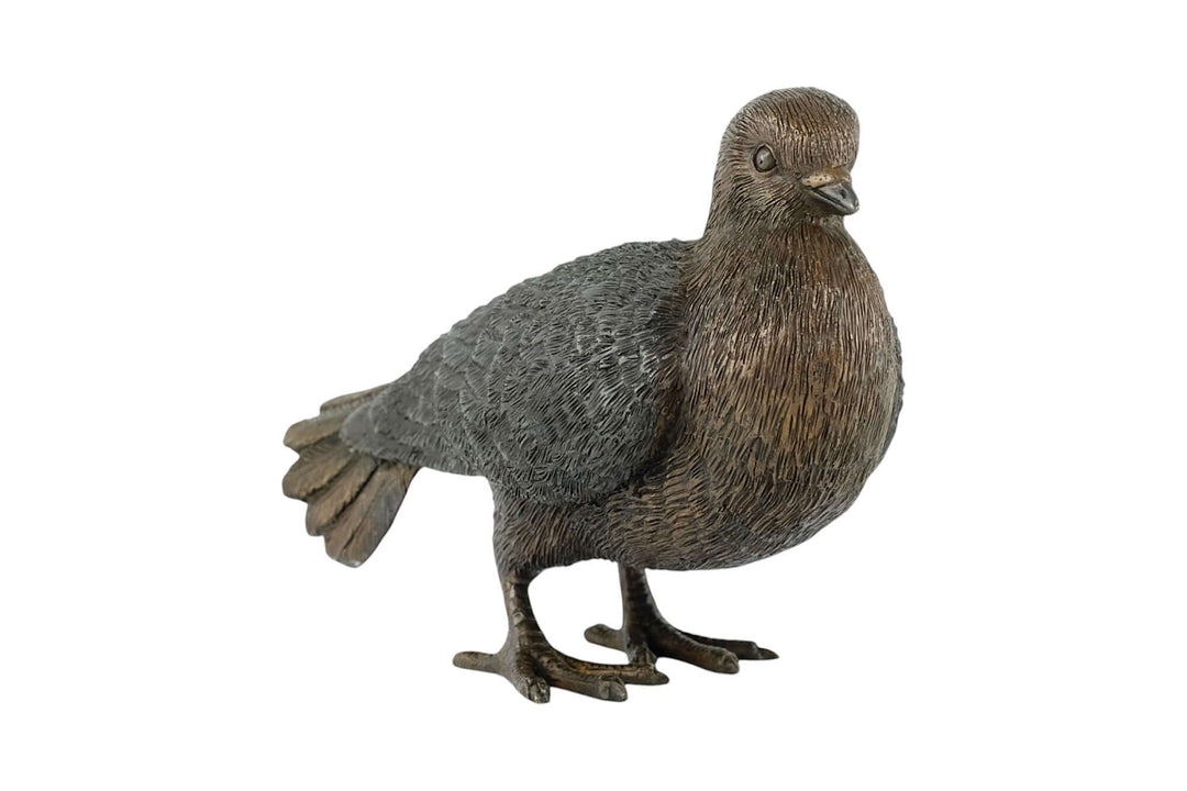 Bronze sculpture of a detailed standing pigeon, ideal for home or garden decor. Size: 17 x 27 cm.