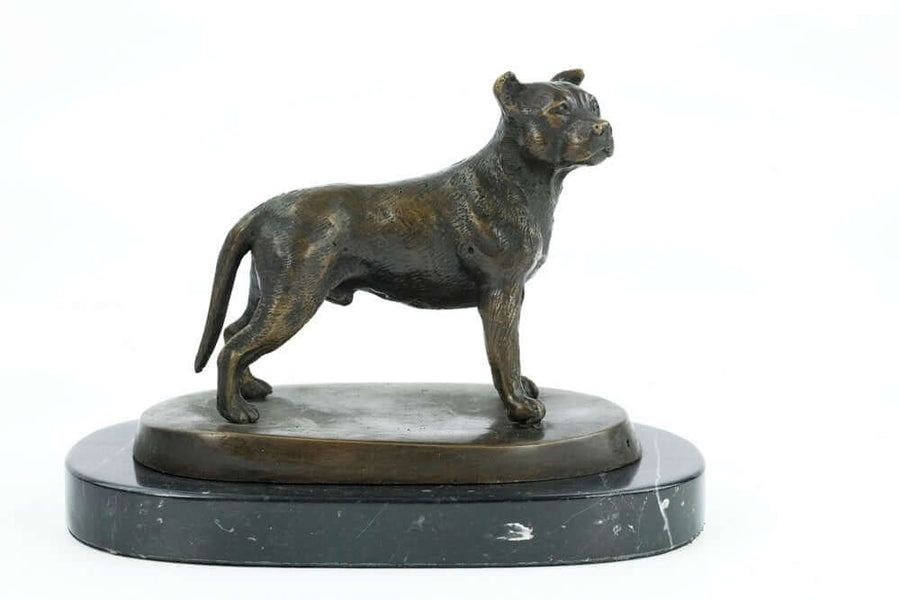 Bronze sculpture of a standing Staffordshire Bull Terrier on a marble base, perfect for dog lovers. Size: 14x20 cm.