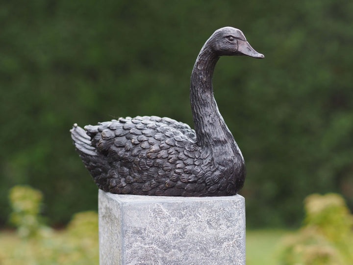 Bronze sculpture of a swimming swan, detailed design, brown patina, 22 x 16 cm, suitable for indoor and outdoor display.
