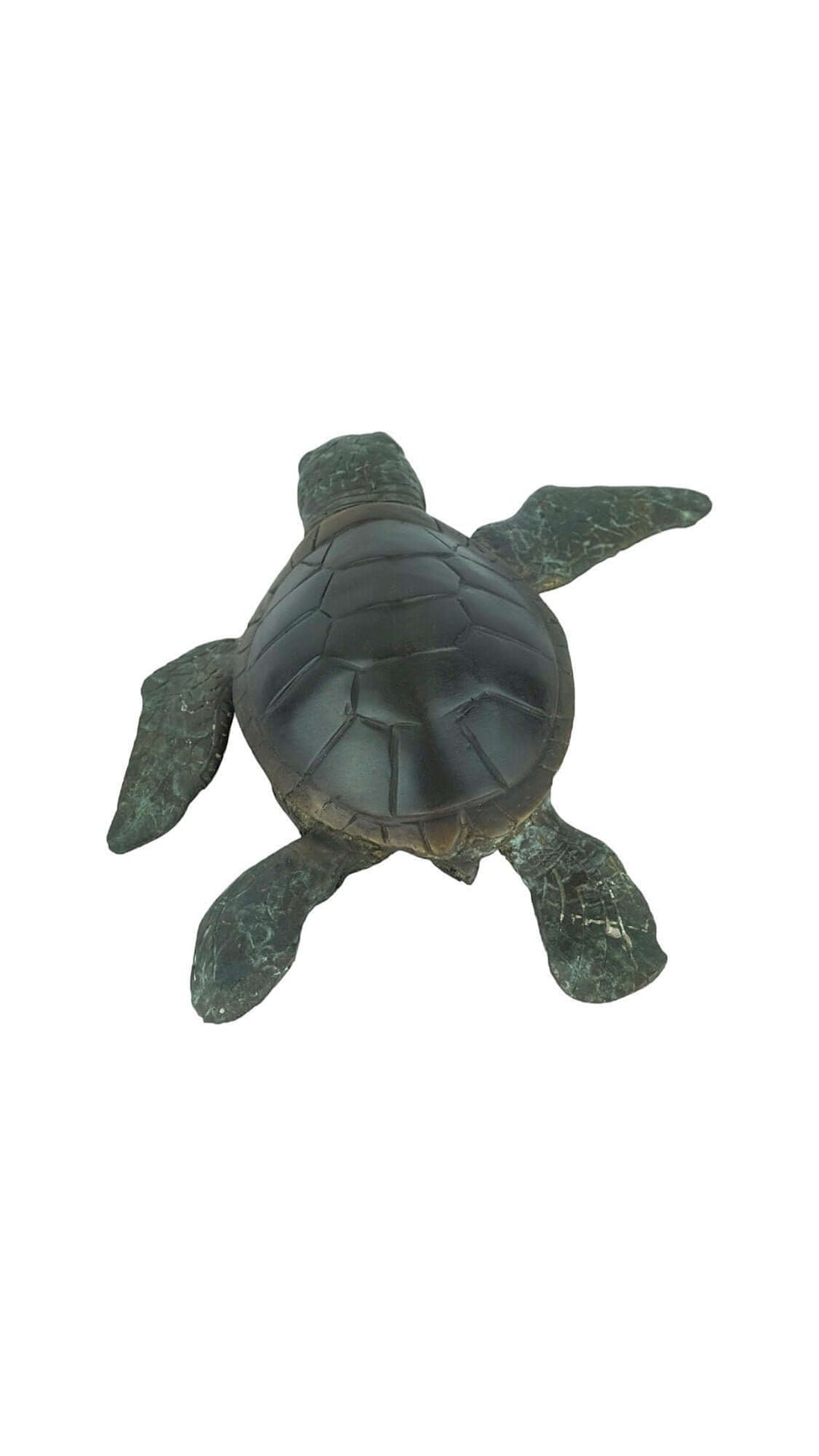 Bronze sculpture of a swimming turtle with detailed design and multi-coloured patina, dimensions 6x24x22 cm.