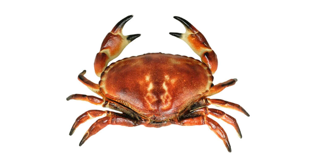 Realistic cast iron crab box with lid, decorative collectible, natural colors, 32 x 23 cm, 3.2 kg.