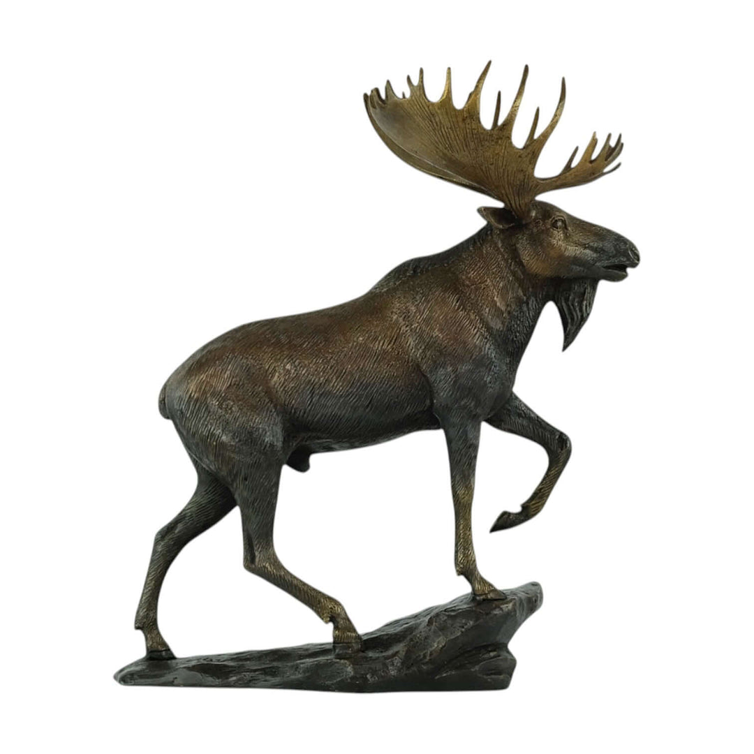 Bronze moose sculpture with detailed features, standing on a rock with one leg raised, perfect for decor.