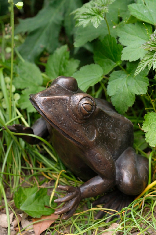 Bronze Frog Sculpture Frog Lovers Gift Frog Art Frog Decoration Garden Sculpture Outdoor Sculpture Home Deco Art Animal Statue Frog Statue