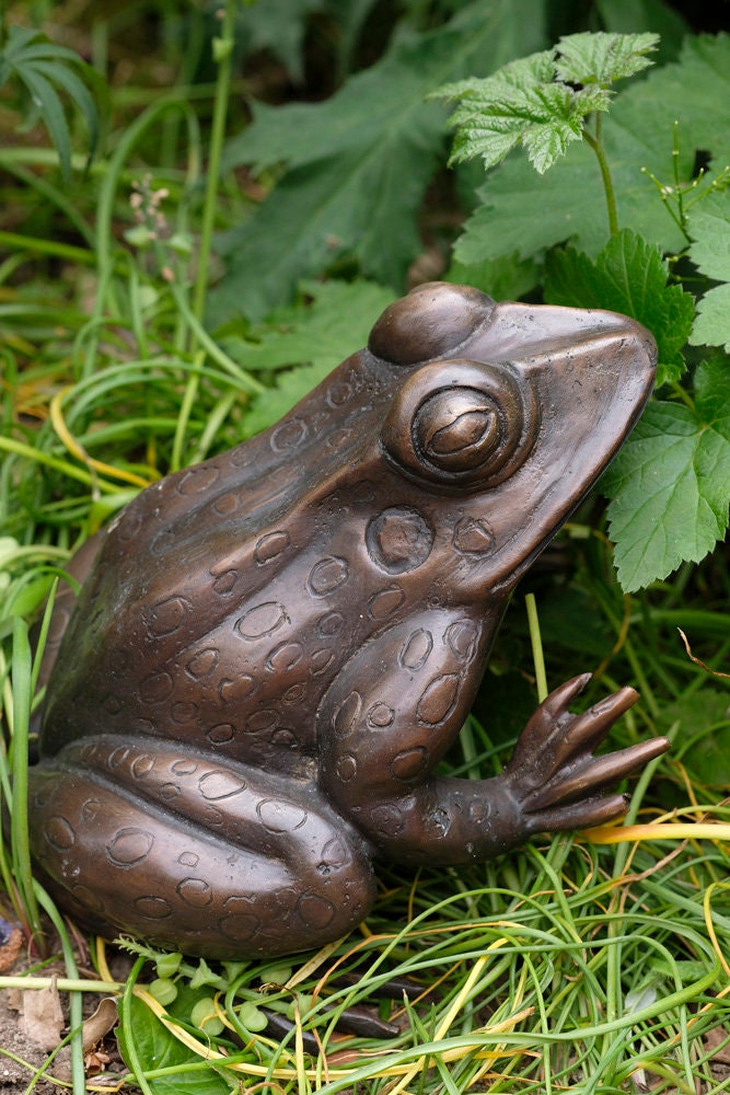 Bronze Frog Sculpture Frog Lovers Gift Frog Art Frog Decoration Garden Sculpture Outdoor Sculpture Home Deco Art Animal Statue Frog Statue