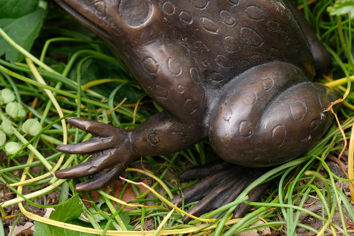Bronze Frog Sculpture Frog Lovers Gift Frog Art Frog Decoration Garden Sculpture Outdoor Sculpture Home Deco Art Animal Statue Frog Statue
