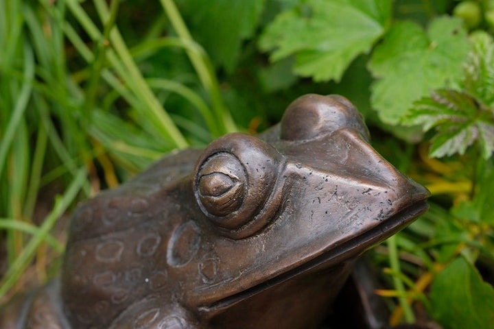 Bronze Frog Sculpture Frog Lovers Gift Frog Art Frog Decoration Garden Sculpture Outdoor Sculpture Home Deco Art Animal Statue Frog Statue
