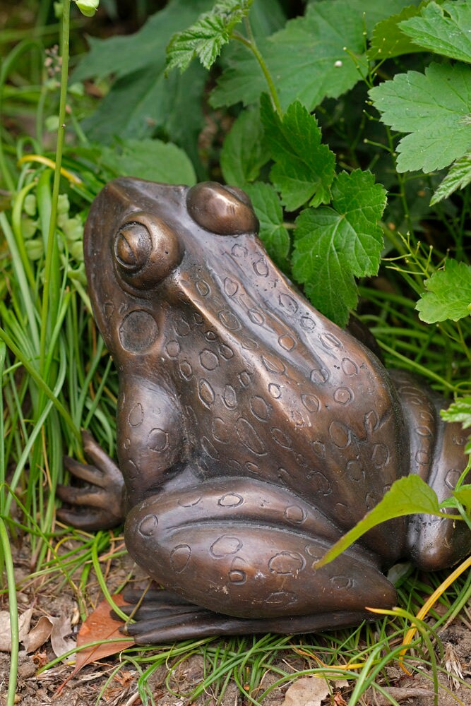 Bronze Frog Sculpture Frog Lovers Gift Frog Art Frog Decoration Garden Sculpture Outdoor Sculpture Home Deco Art Animal Statue Frog Statue