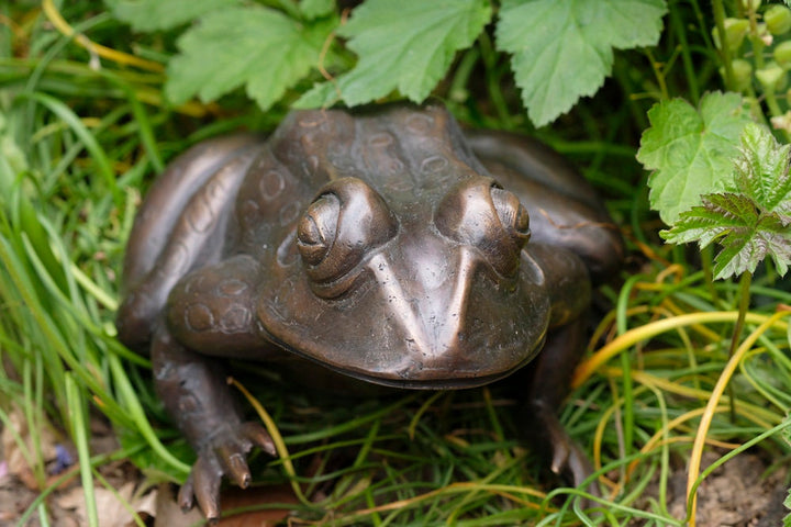 Bronze Frog Sculpture Frog Lovers Gift Frog Art Frog Decoration Garden Sculpture Outdoor Sculpture Home Deco Art Animal Statue Frog Statue