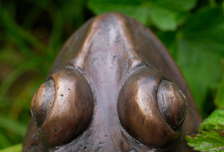 Bronze Frog Sculpture Frog Lovers Gift Frog Art Frog Decoration Garden Sculpture Outdoor Sculpture Home Deco Art Animal Statue Frog Statue